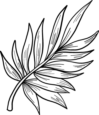 Palm Leaf For Children Coloring Page