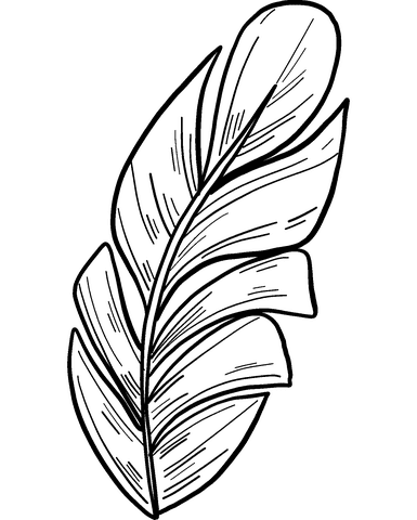 Palm Leaf Picture Coloring Page