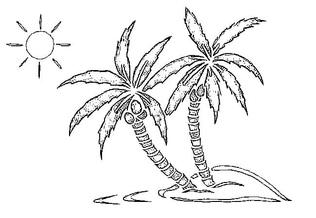 Palm Tree Amusing Coloring Page