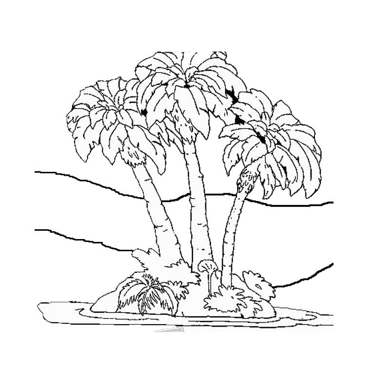 Palm Tree Confounding Coloring Page