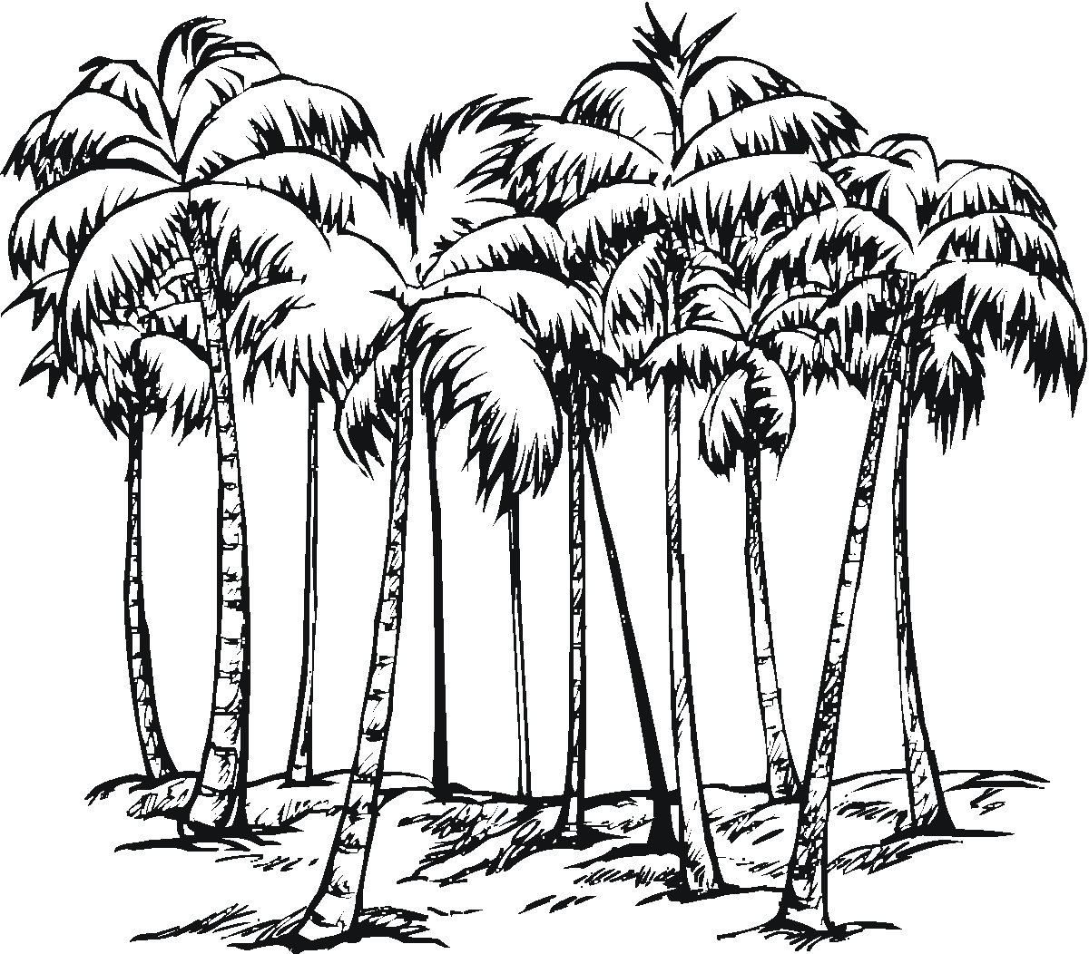 Palm Tree Download