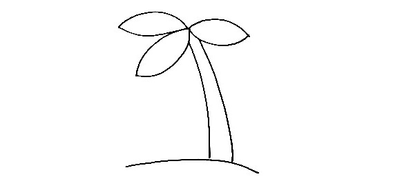 Palm Tree-Drawing-3