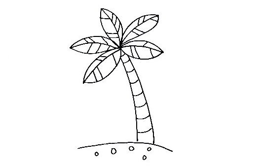 Palm Tree-Drawing-5