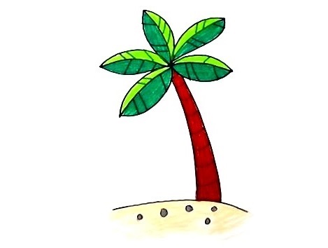 Palm Tree-Drawing-6