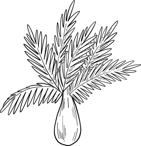 Palm Tree Drawing For Kids