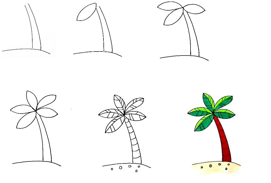 Palm Tree-Drawing
