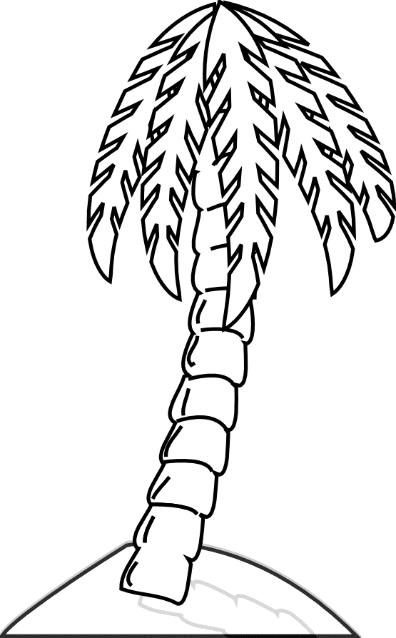 Palm Tree Great For Kids