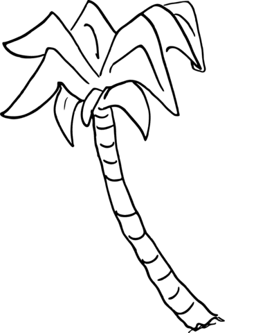 Palm Tree Picture For Children