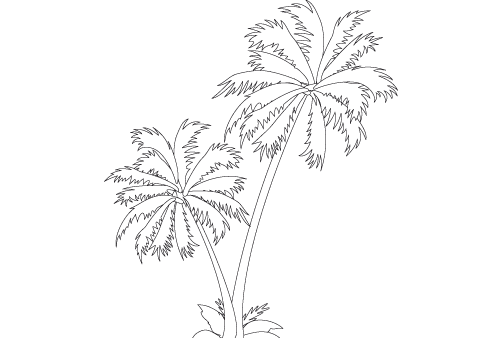 Palm Tree Pulchritudinous Image