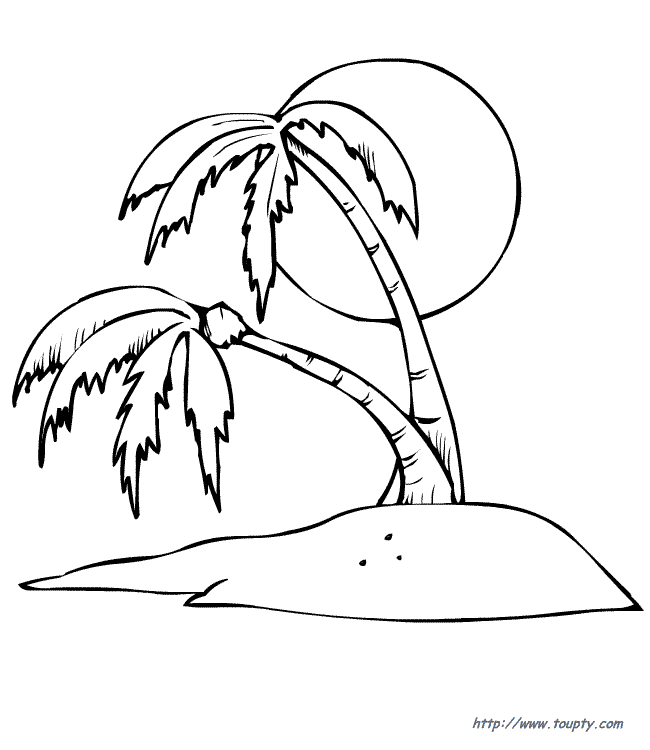 Palm Tree Stupefying