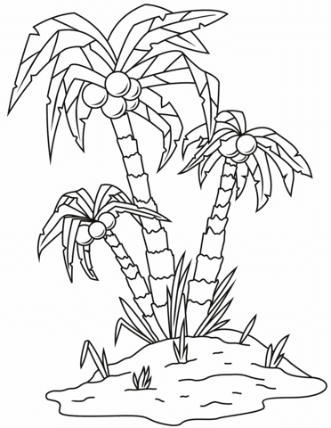 Palm Tree Tasteful Image