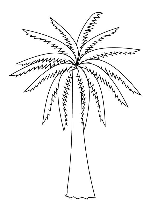 Palm Tree Terrific For Kids