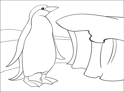 Penguin Cute Image