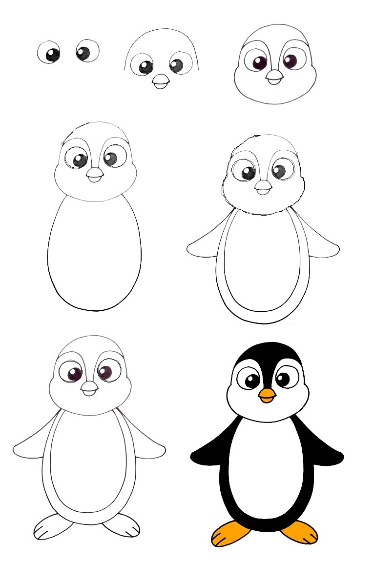 Penguin-Drawing