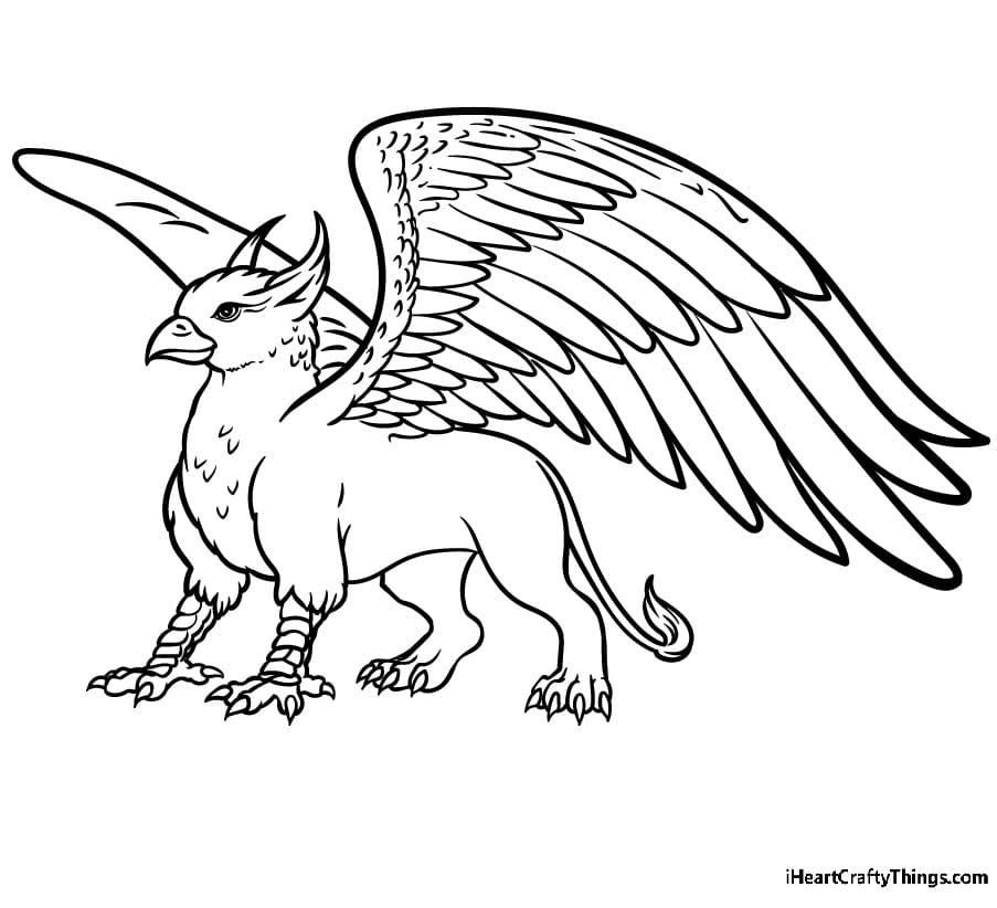 Picture Griffin Cute For Kids