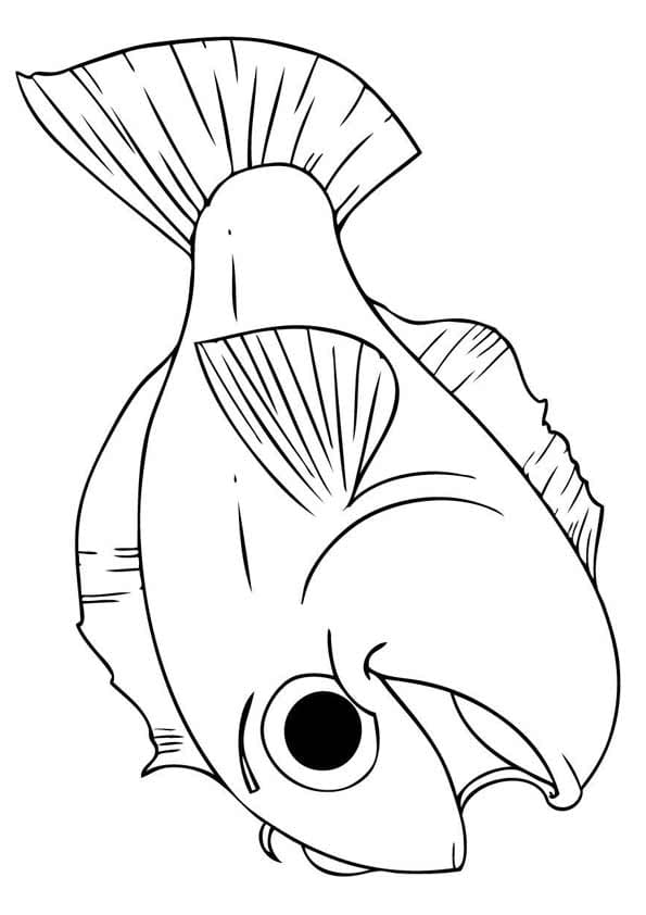 Picture Happy Koi Fish Coloring Page
