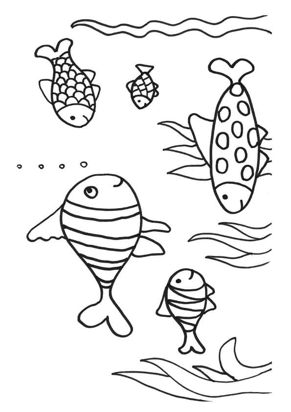 Picture Of Five Koi Fish Coloring Page