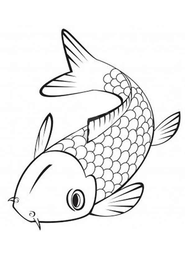 Picture Of Japanese Koi Fish Coloring Page