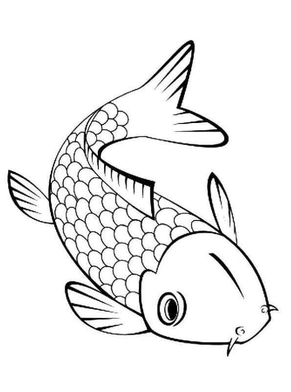 Picture Of Koi Fish Decorative Coloring Page