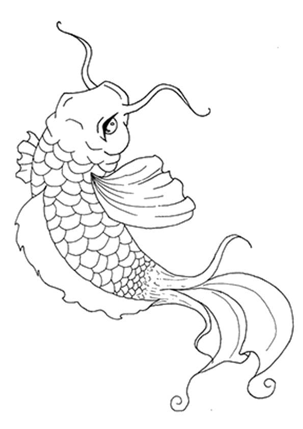Picture Of Long Tailed Koi Fish Cute Coloring Page
