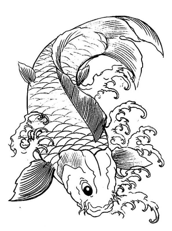 Picture Of Long Tailed Koi Fish Delicate Coloring Page