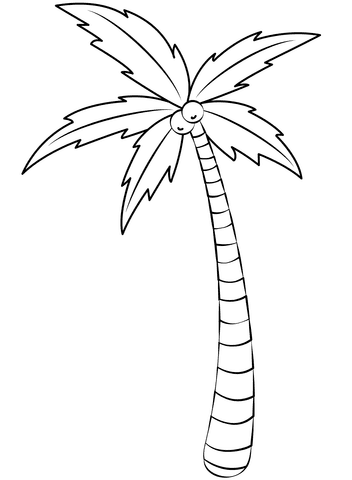 Picture Palm Tree
