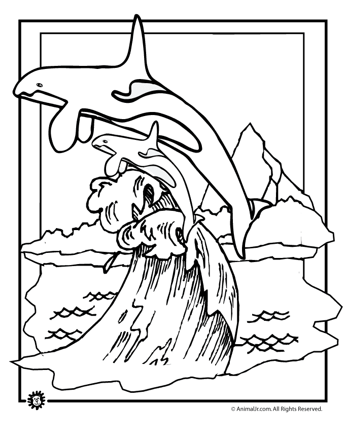 Pictures Of A Whale To Colour