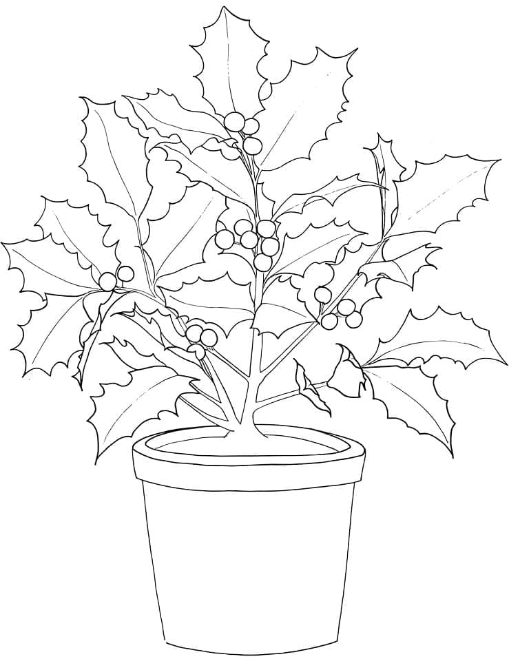 Poinsettia In A Pot Coloring Page