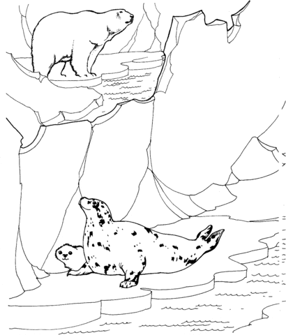 Polar Bear Hunting for Ringed Seals Image Coloring Page