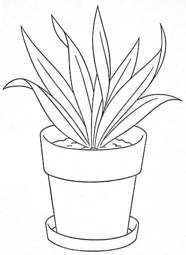 Printable Flower Pot Picture Coloring Page