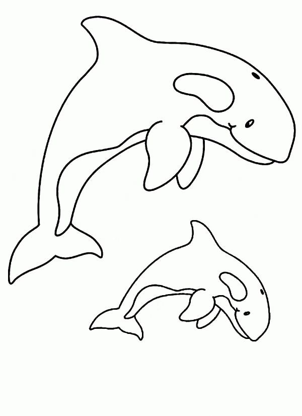 Printable Killer Whale Cute