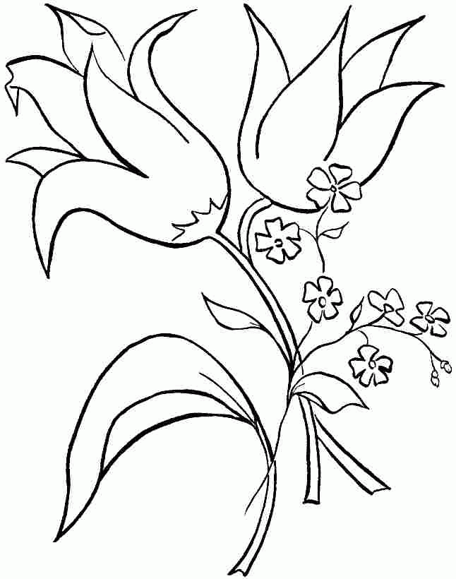 Printable Lily Flowers Free Printable Coloring Page