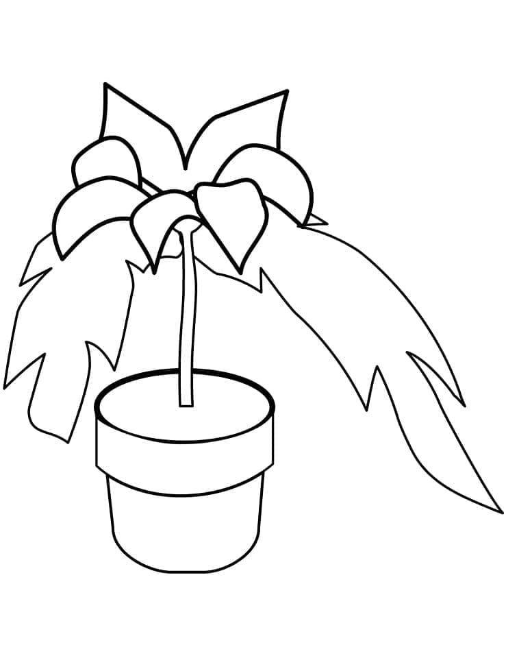 Printable Poinsettia in a Pot Coloring Page