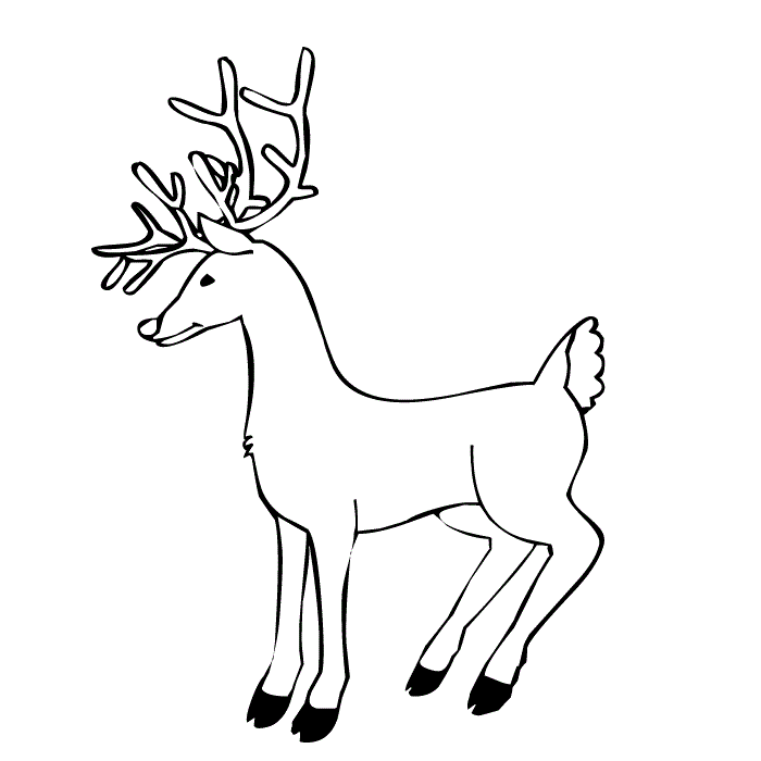 Printable Reindeer Coloring Coloring Page