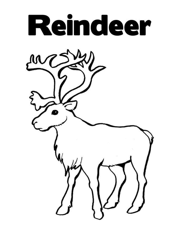 Printable Reindeer Coloring Page