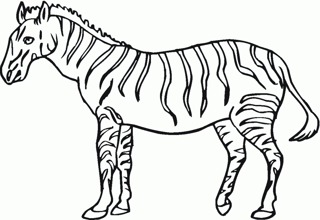 Printable Zebra For Kids Coloring Page