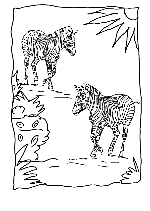 Printable Zebras Coloring Pages Coloring Cool