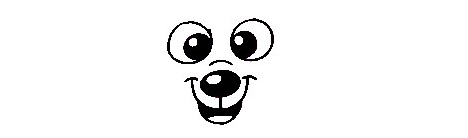 Raccoon-Drawing-1