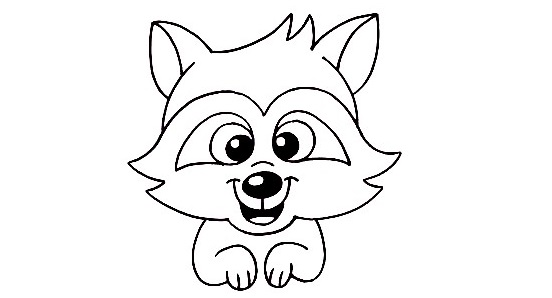 Raccoon-Drawing-4