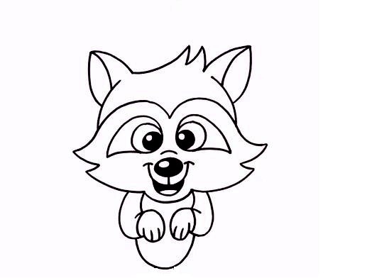 Raccoon-Drawing-5