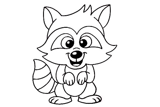 Raccoon-Drawing-7