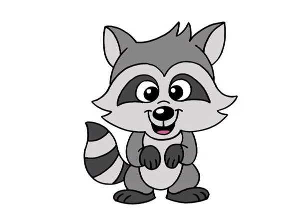 Raccoon-Drawing-8
