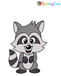 8 Simple Steps To Create A Raccoon Drawing – How To Draw A Raccoon Coloring Page