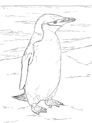 Realistic Chinstrap Penguin