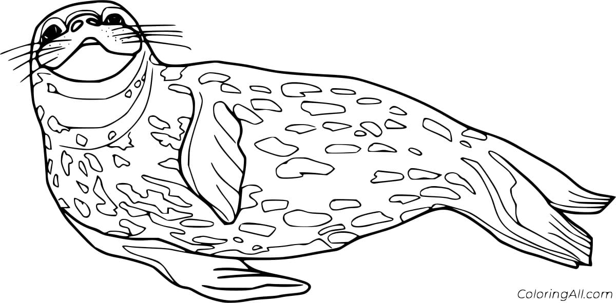 Realistic Spotted Seal Coloring Page