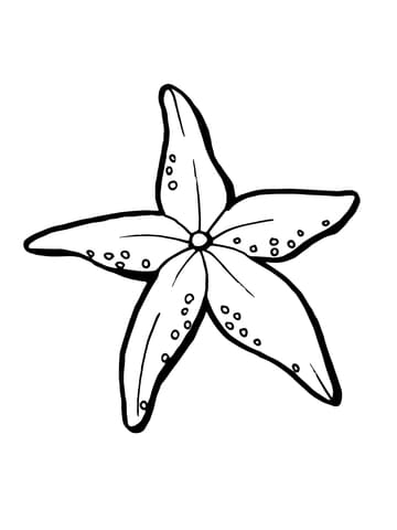Realistic Starfish Image Coloring Page