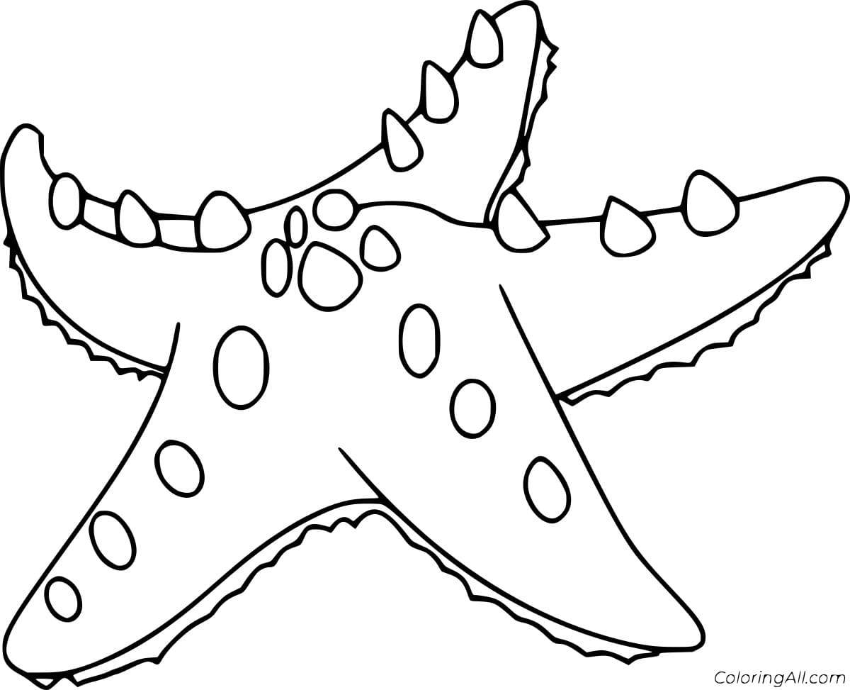 Red Knobbed Starfish Image Coloring Page