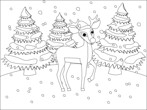 Red-Nosed Christmas Reindeer Rudolph Image Coloring Page