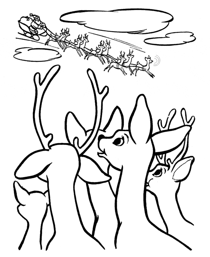 Reindeer And Sleigh Coloring