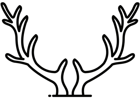 Reindeer Antlers Picture Coloring Page